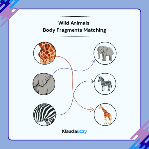 Wild Animals Body Fragments Matching