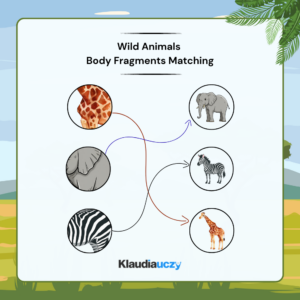 Wild Animals Body Fragments Matching