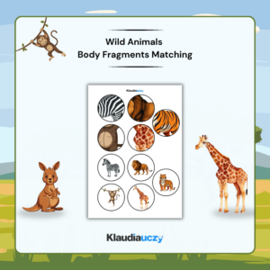Wild Animals Body Fragments Matching